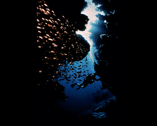 Illustration for article titled This awesome image may be found by aliens one day, floating in space